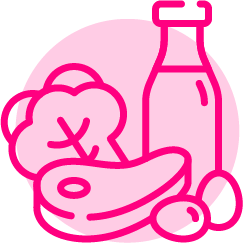 alimentacao